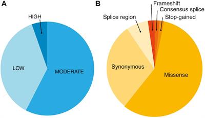 Actionable Pharmacogenetic Variation in the Slovenian Genomic Database